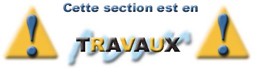 travaux.jpg (15965 octets)